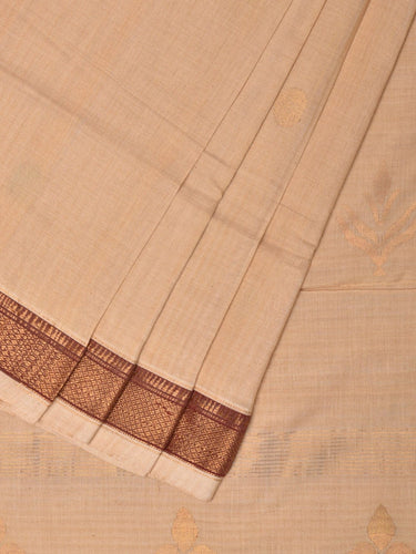 Cream Uppada Cotton Handloom Saree with Pallu Design - Global Threads - Distacart